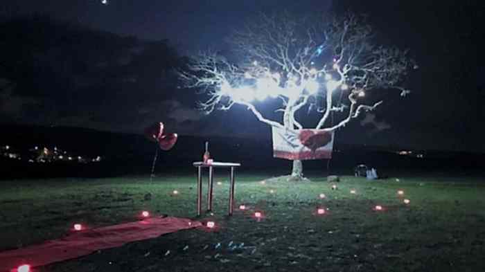 Evlenme Teklifi Organizasyonu